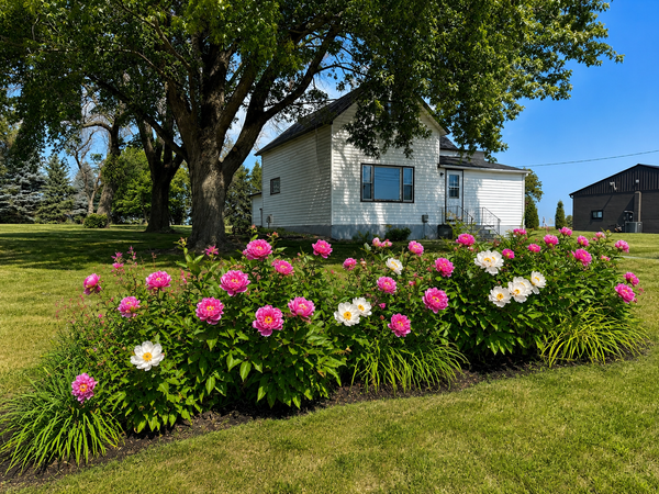 57736 370th Street, Mountain Lake, MN 56159