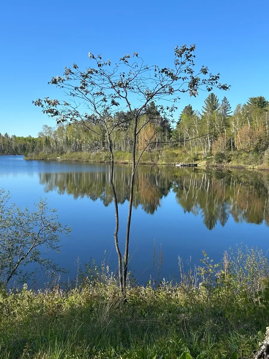1448 Norsk Lane, Two Harbors, MN 55616 - #2