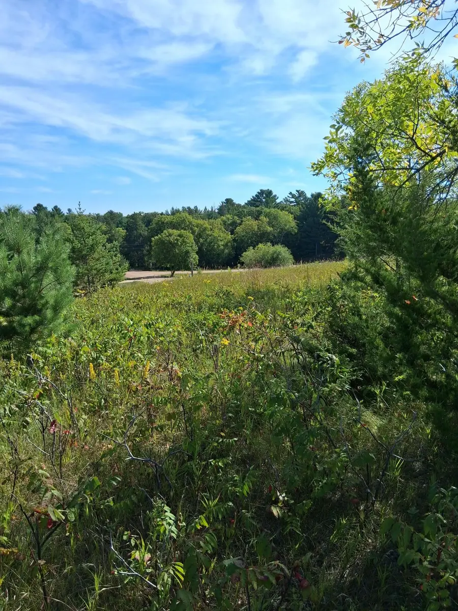 TBD Overland Drive, Browerville, MN 56438 - #2