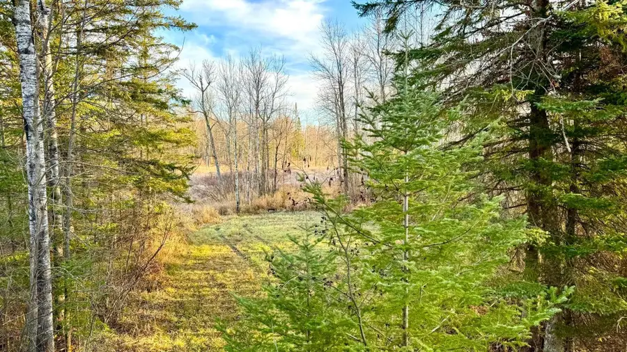 16794 Driftwood Street, McGregor, MN 55760 - #2
