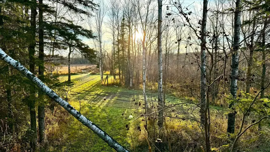 16794 Driftwood Street, McGregor, MN 55760 - #3