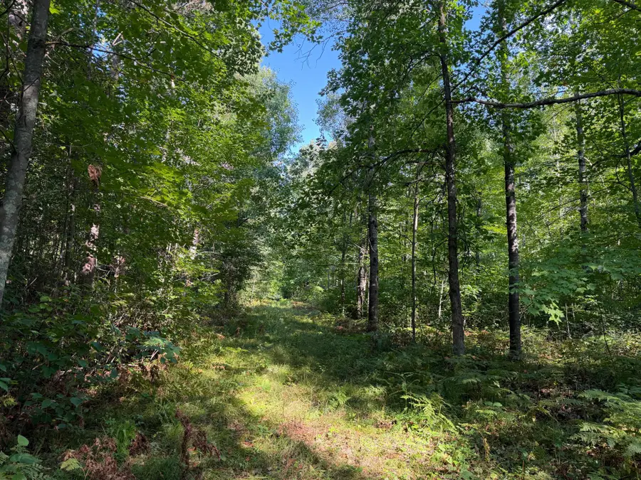tbd Klice Road, Willow River, MN 55795 - #2