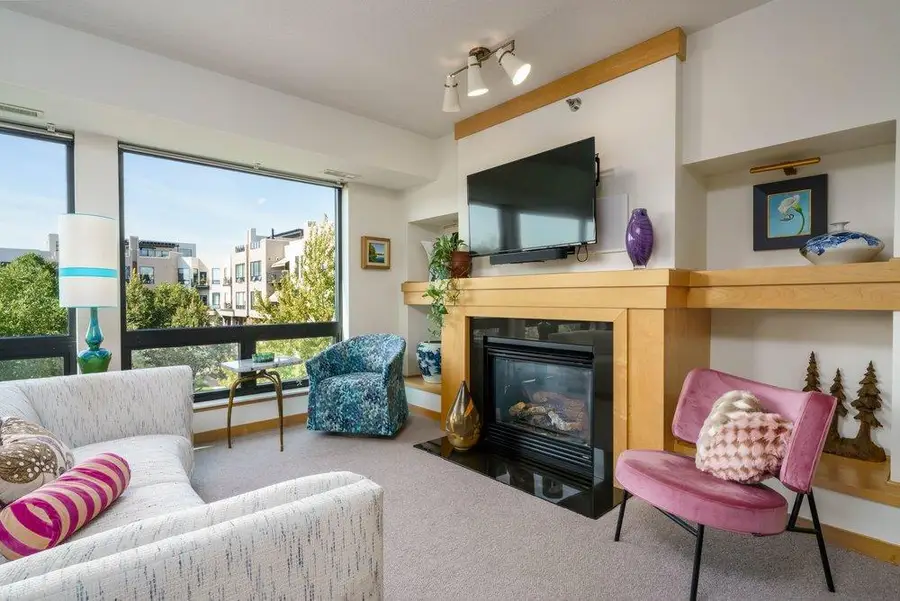 284 Spring Street #305, Saint Paul, MN 55102 - #3