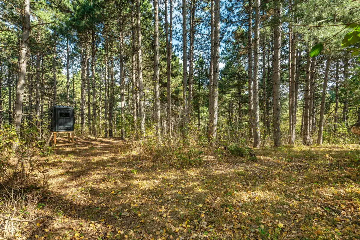 TBD Rocky Ridge Road, Henning, MN 56551 - #1