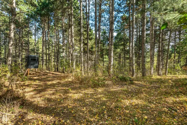 TBD Rocky Ridge Road, Henning, MN 56551
