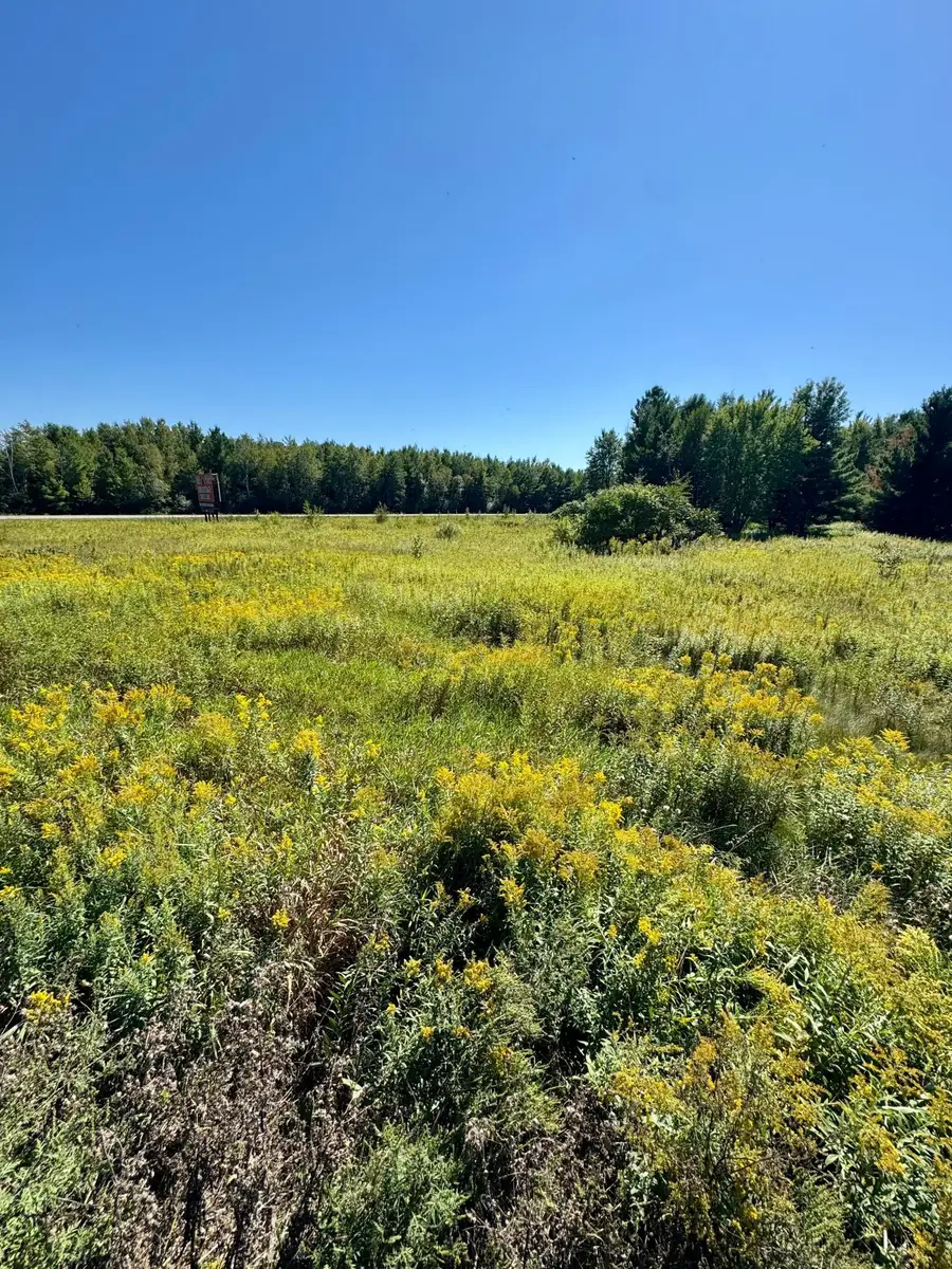 27806 435th Avenue, Aitkin, MN 56431 - #2