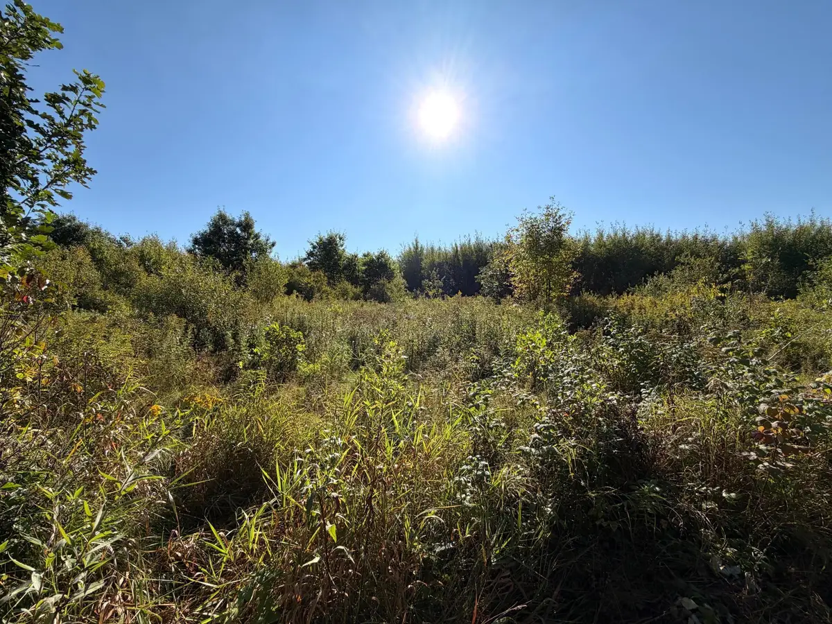 TBD 290th Street, Onamia, MN 56359 - #1