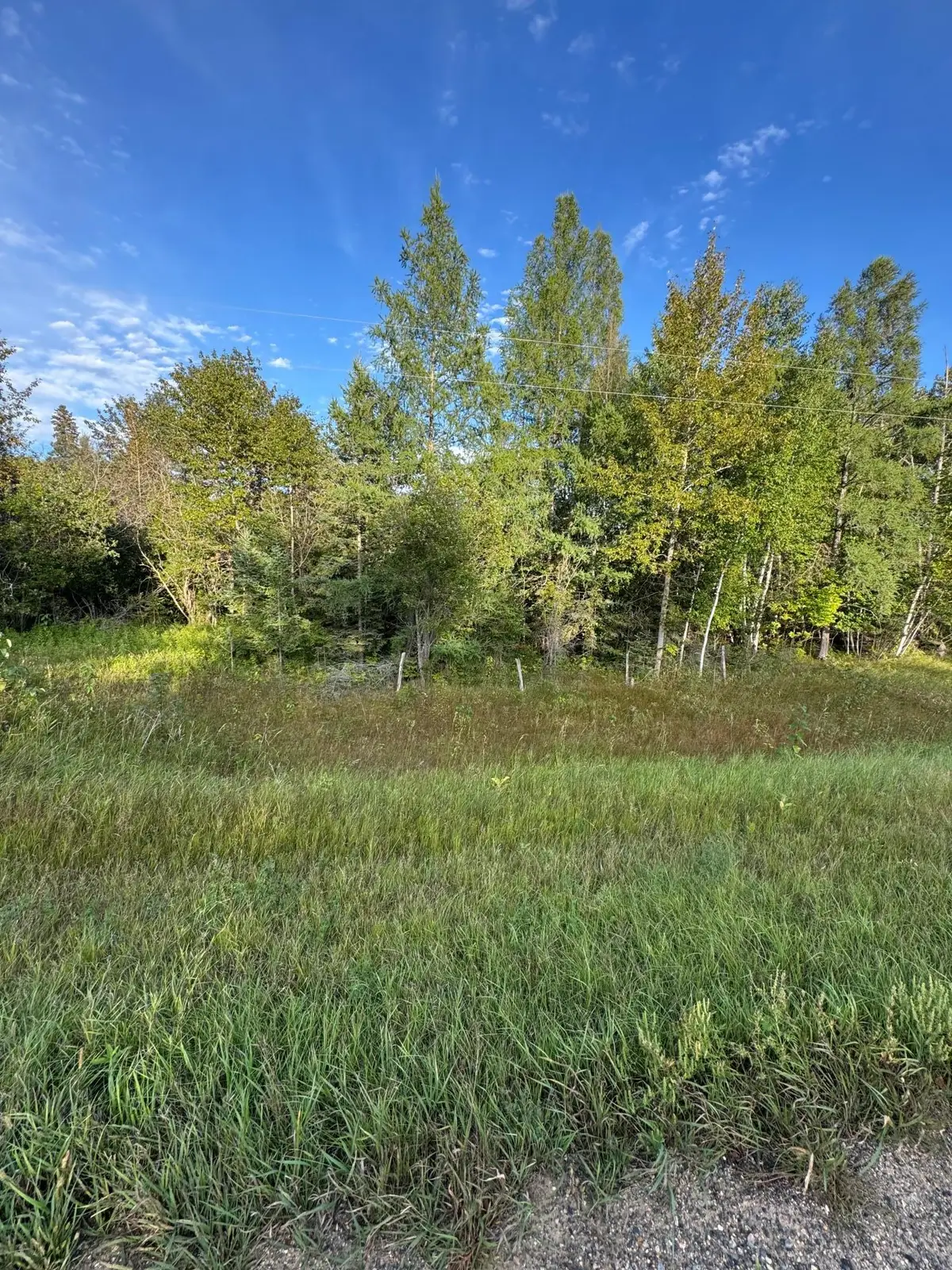 TBD Gull Lake Loop Road, Hines, MN 56647 - #1