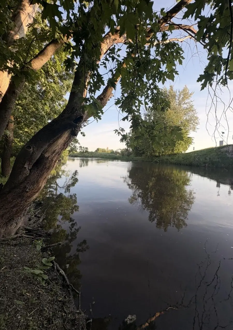 458 4th Street N, Brownton, MN 55312 - #3
