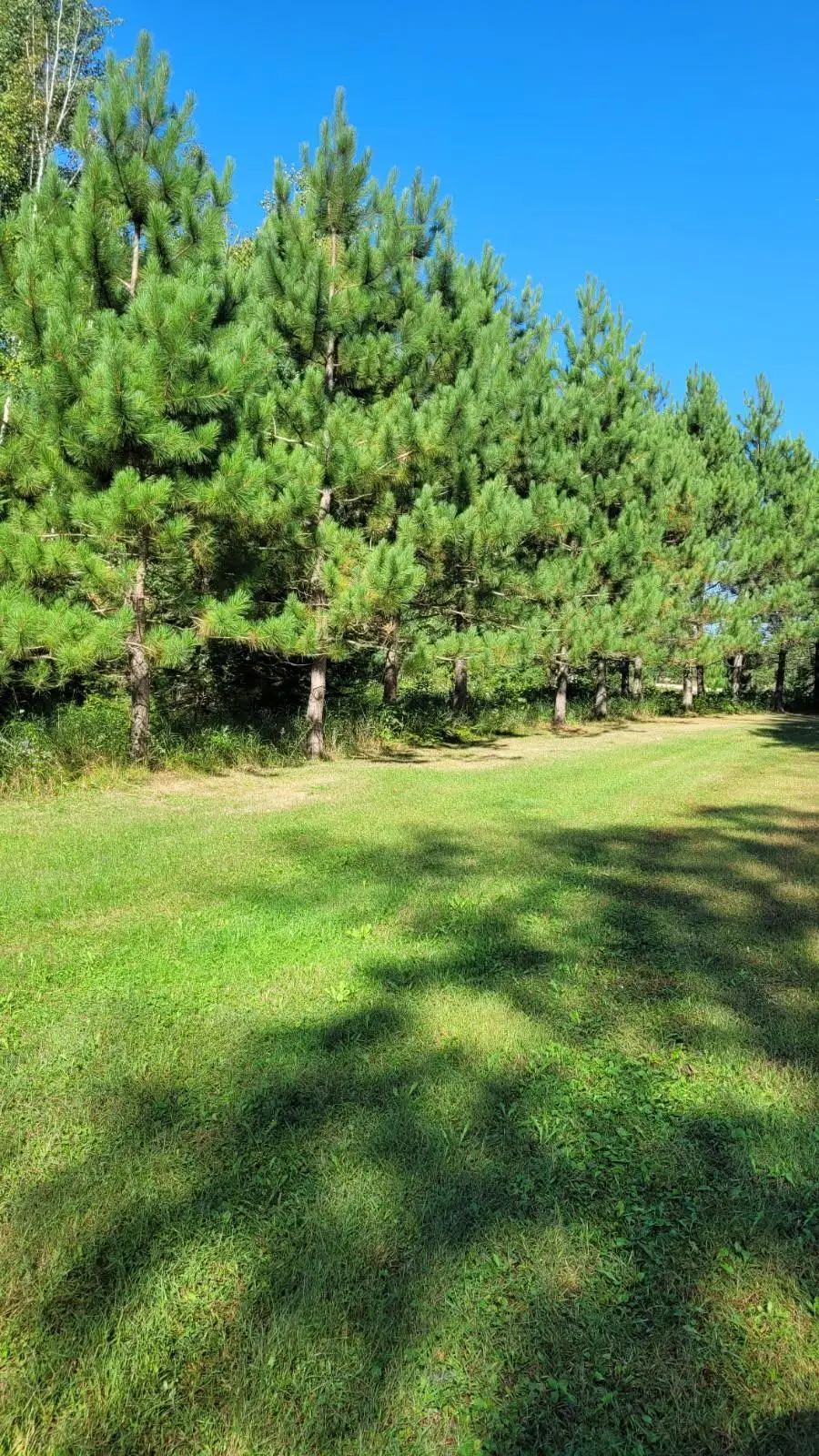 1393 Cottonwood Trail Sw, Pine River, MN 56474 - #2