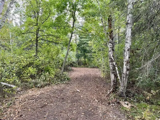 Lot 14 New Melahn Dr (lot14), Lake George, MN 56458 - #2