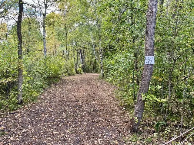 Lot 17 New Melahn Drive, Lake George, MN 56458 - #1