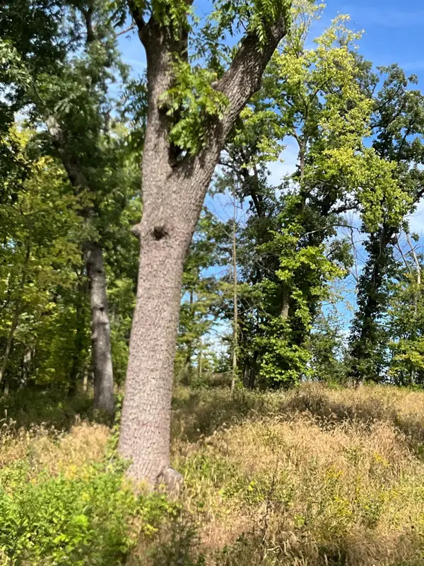 TBD Twin Bluff Lane S, Stockholm, WI 54769