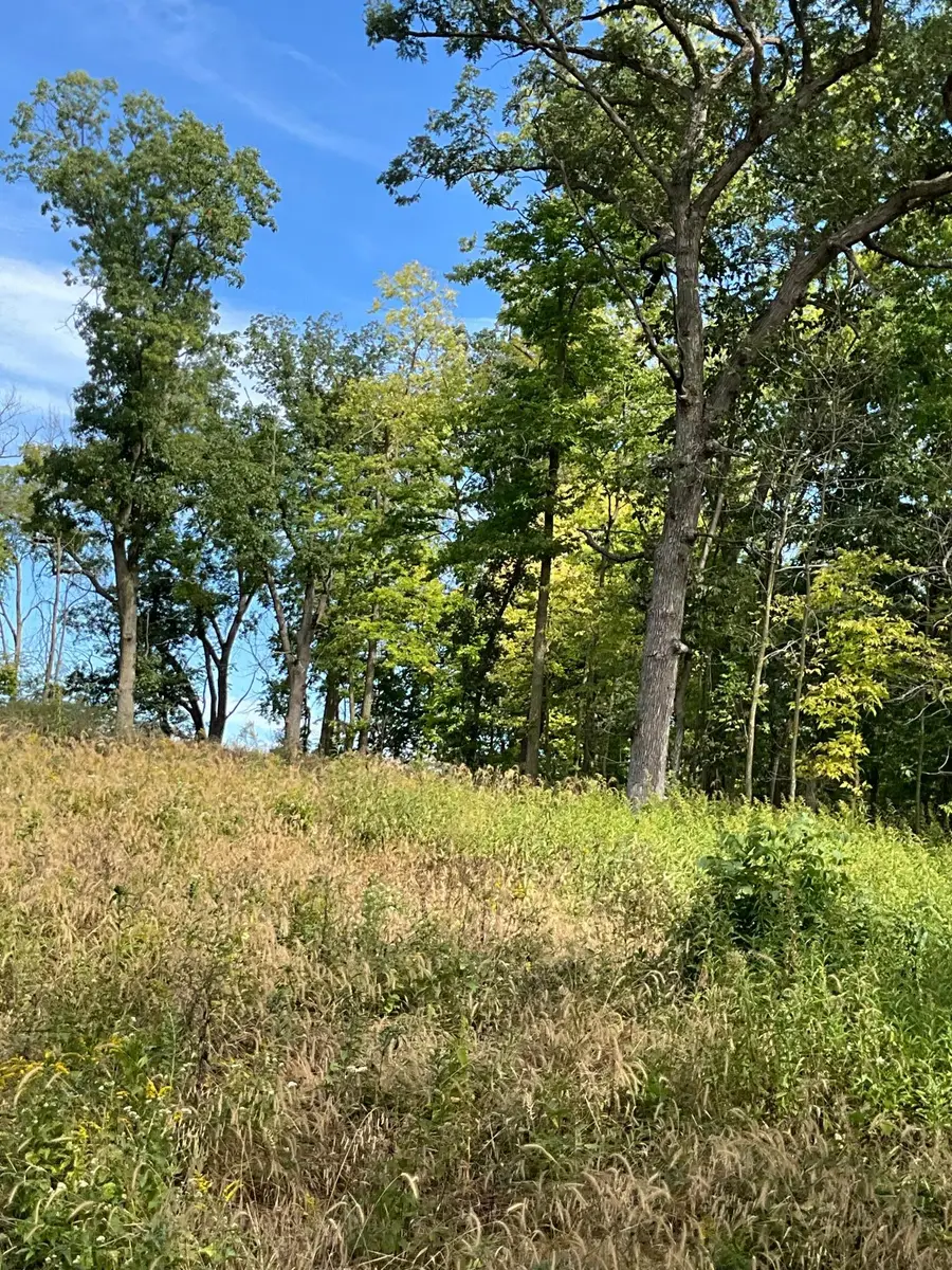 TBD Twin Bluff Lane S, Stockholm, WI 54769 - #3