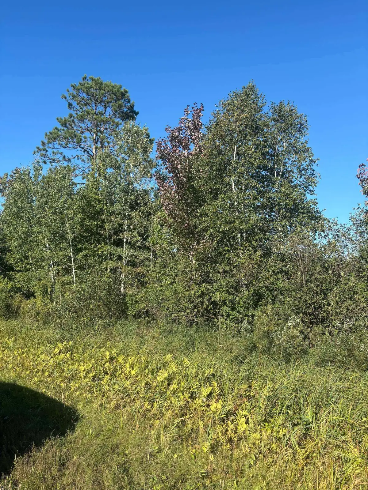 8360 S Old 11 Road, Solon Springs, WI 54873 - #1