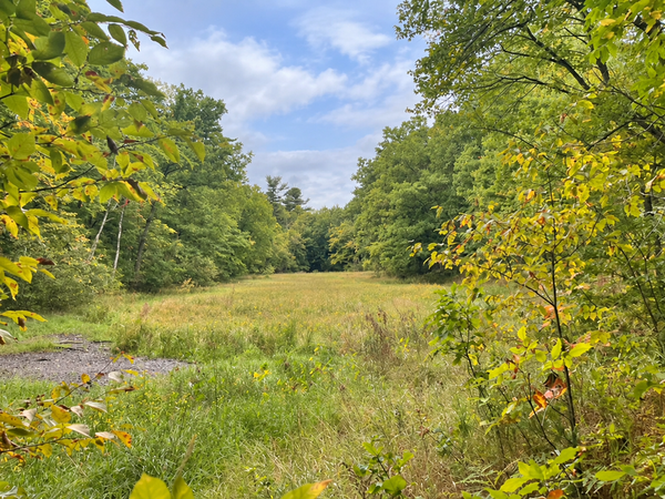 TBD xx 10th Street, McKinley Twp, WI 54829