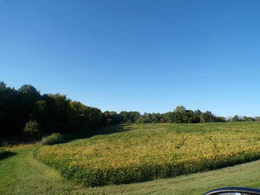 W8028 320th Avenue, Hager City, WI 54014 - #2
