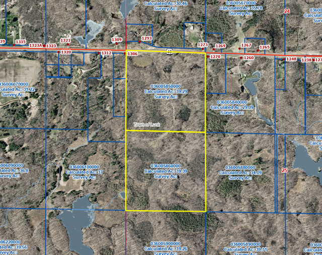 TBD Hwy 48, Luck, WI 54853 - #2