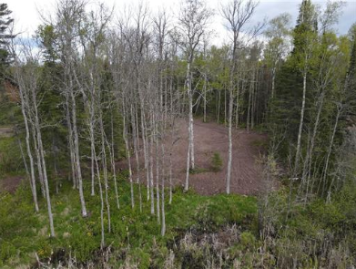 7863 E Briar Lake Drive, Duluth, MN 55803 - #3