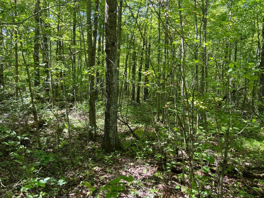 000 Maple Tree Lane, Pine City, MN 55063 - #3