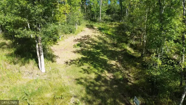 TBD Sheshebe Road, McGregor, MN 55760