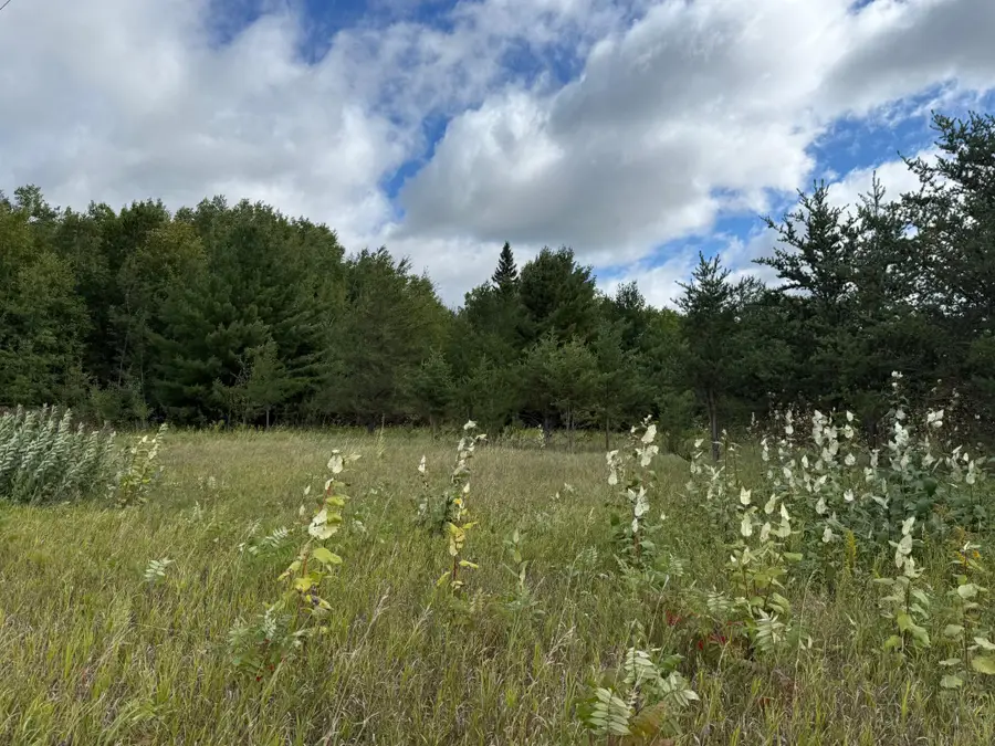 TBD 159th Ave, Bagley, MN 56621 - #2