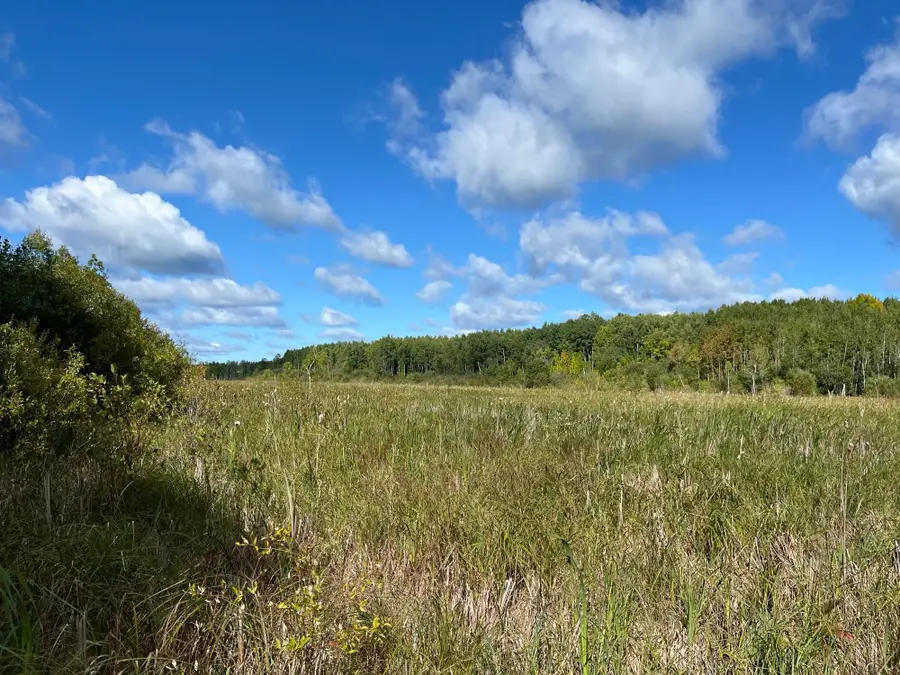 TBD County Rd 30, South Koochiching, MN 56627 - #2
