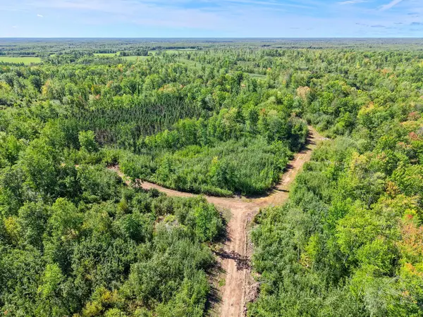 xxx Fleming Logging Road, Hinckley, MN 55037
