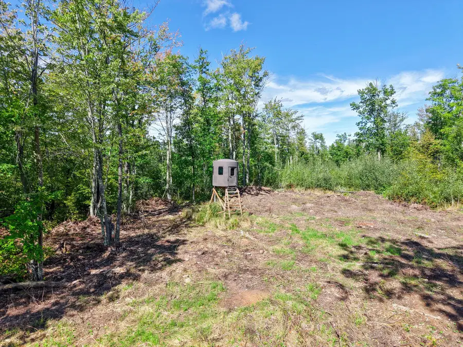 xxx Fleming Logging Road, Hinckley, MN 55037 - #2