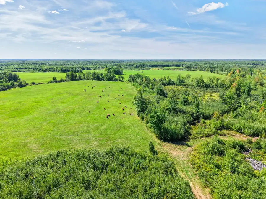 xxx Fleming Logging Road, Hinckley, MN 55037 - #3