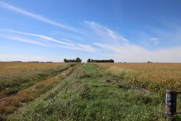 81893 470th Street, Hector, MN 55342