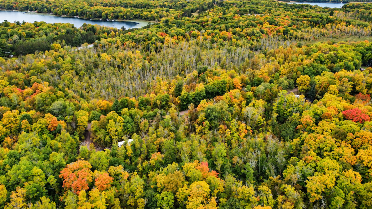 Lot 12 Beaver Drive, Brainerd, MN 56401 - #1