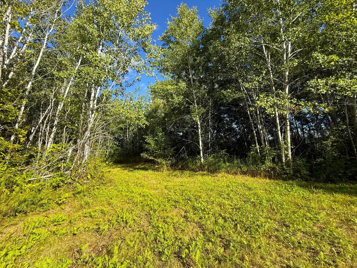 12084 County Road 144, Brainerd, MN 56401 - #1