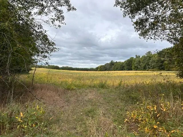TBD Melody Street, Braham, MN 55006 - #1