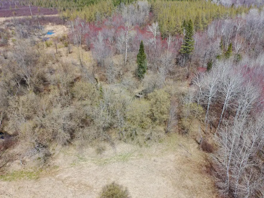 11839 Saint Vincent Road, Floodwood, MN 55736 - #2