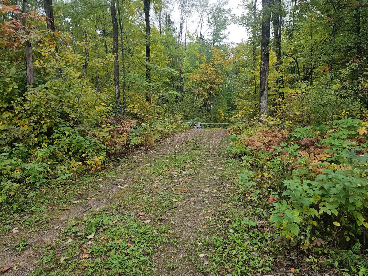 20012 Nature Trail, Ironton, MN 56455 - #1