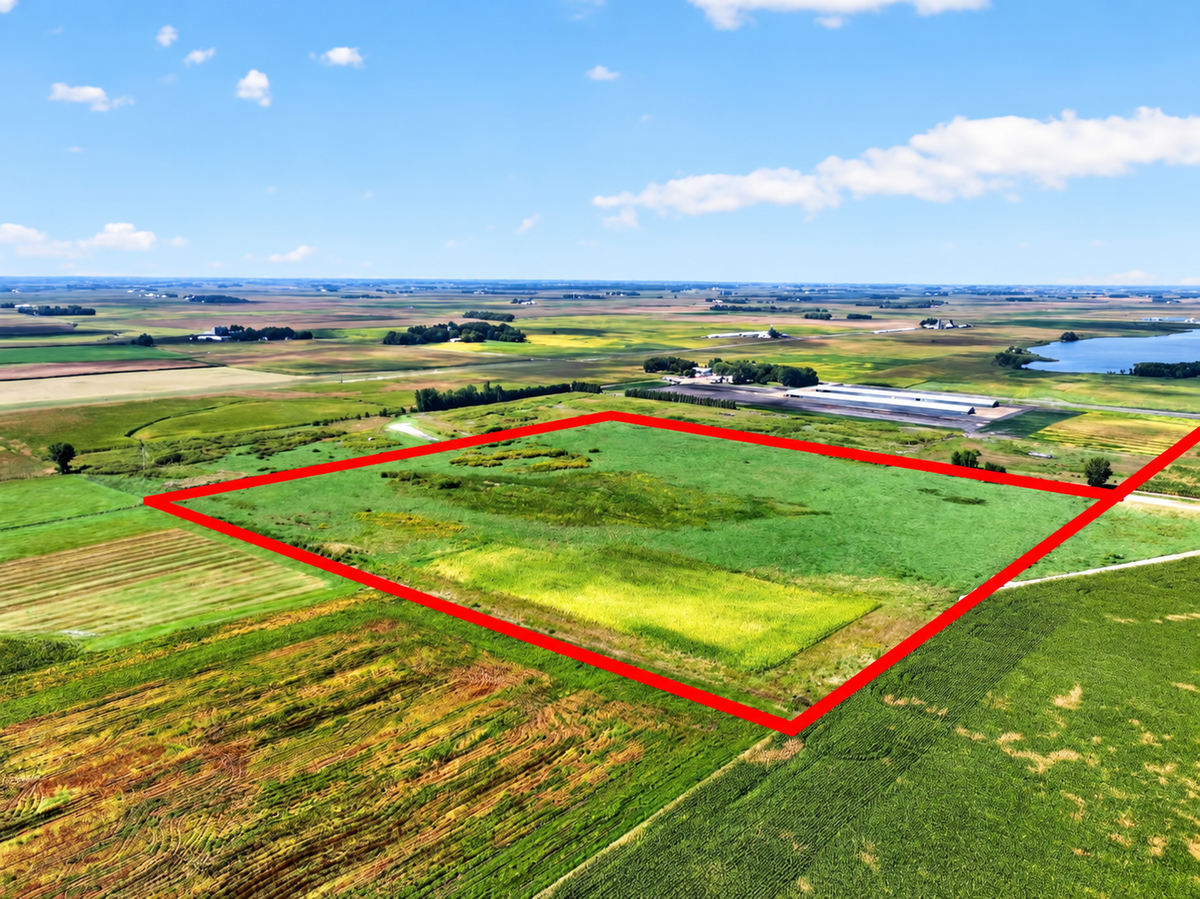 TBD Co Rd 19, Paynesville, MN 56362 - #1