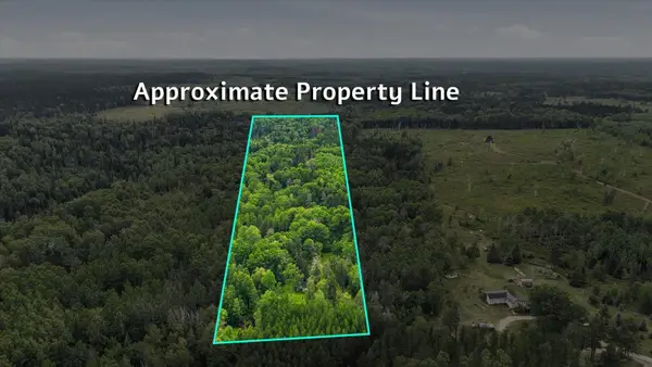 7961 Carpenter Road, Angora, MN 55703