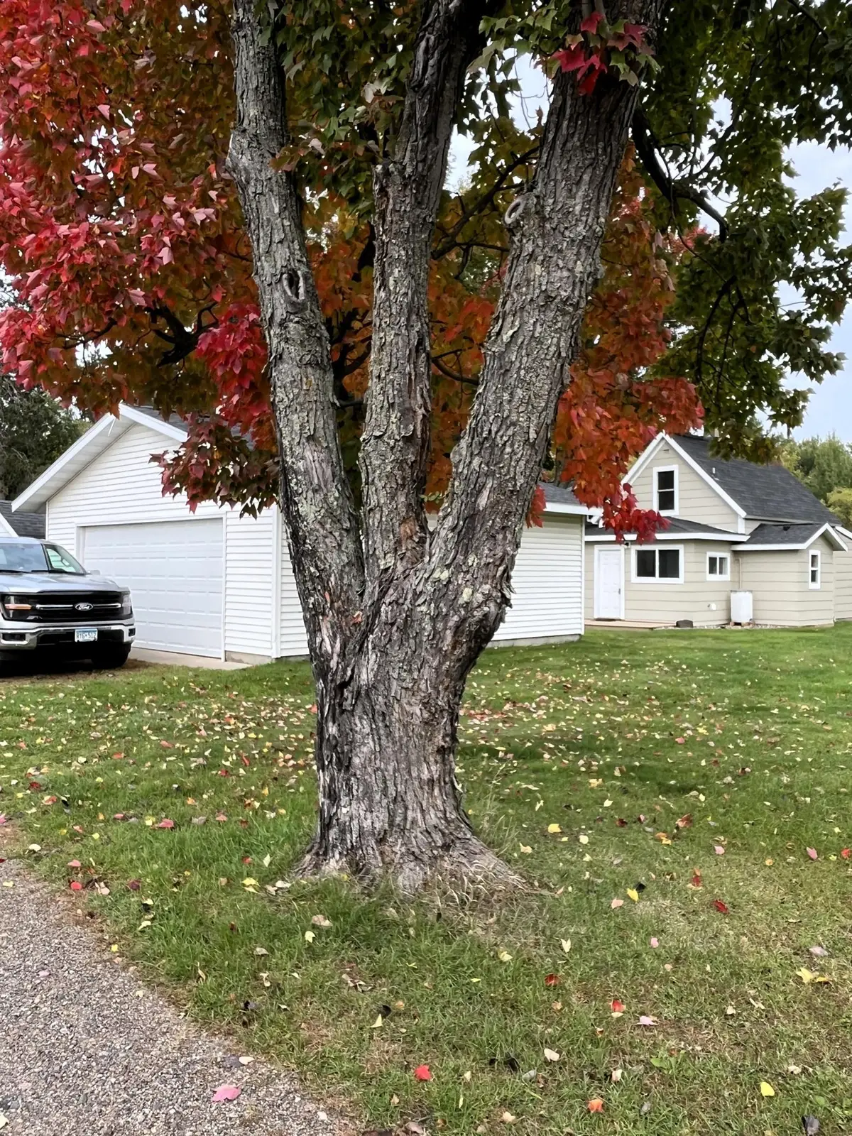 206 Peary Street, Palisade, MN 56469 - #1
