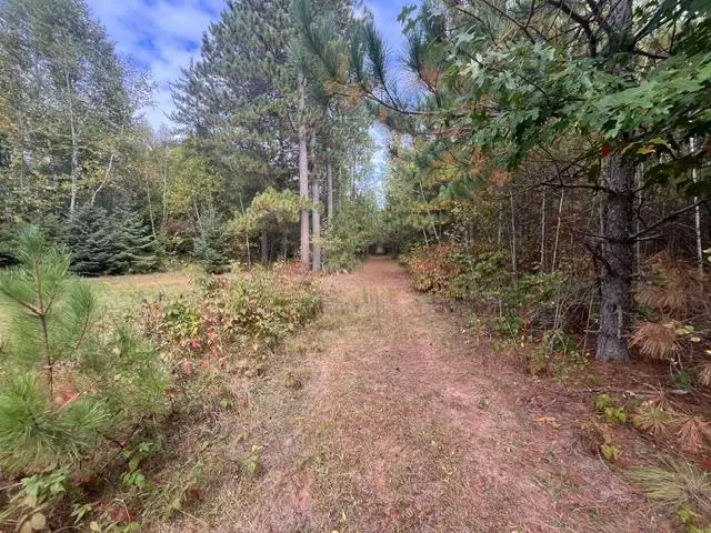 8924 Black Brook Road, Webster, WI 54893 - #3