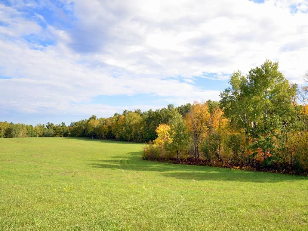 TBD Juneberry Drive, Park Rapids, MN 56470 - #1
