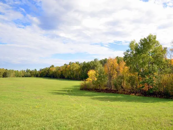 TBD Juneberry Drive, Park Rapids, MN 56470