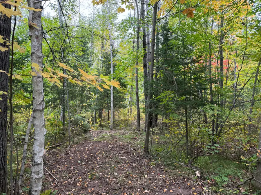 51181 Sand Creek Rd, Bruno, MN 55712 - #3