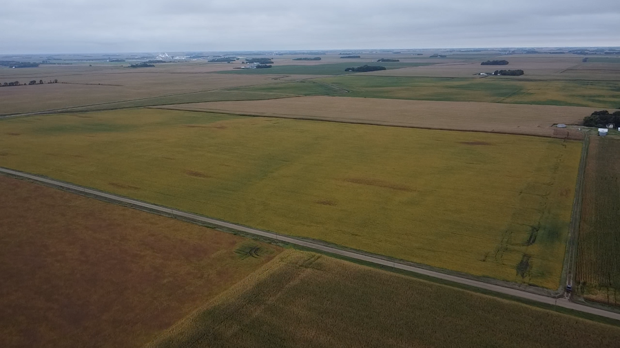 TBD-1 280th Street, Danube, MN 56230 - #2