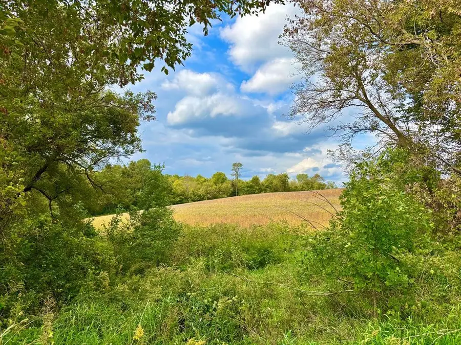 TBD Dump Hill, Rushford, MN 55971 - #2
