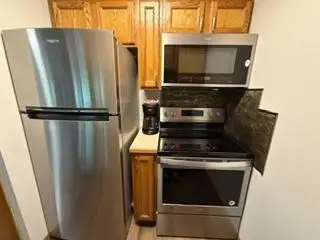 6266 Giants Ridge Road #403, Biwabik, MN 55705 - #3