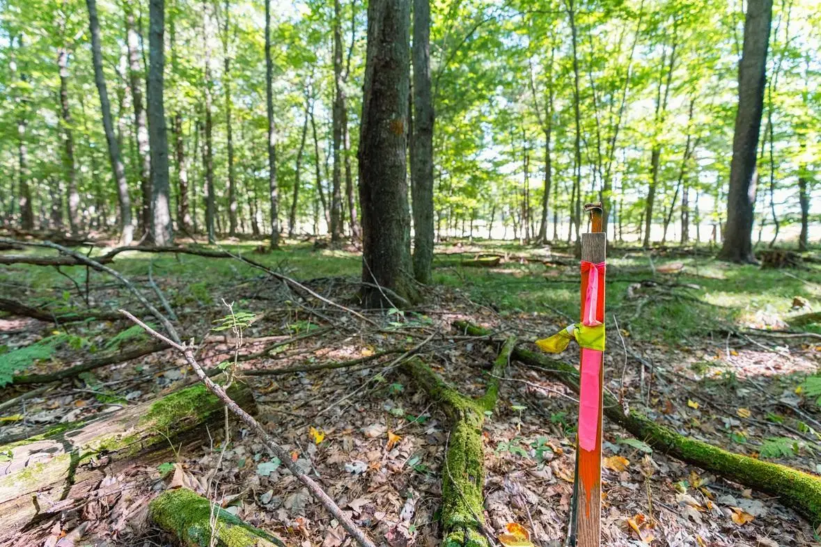 Lot5 815 Avenue, Menomonie, WI 54751 - #1