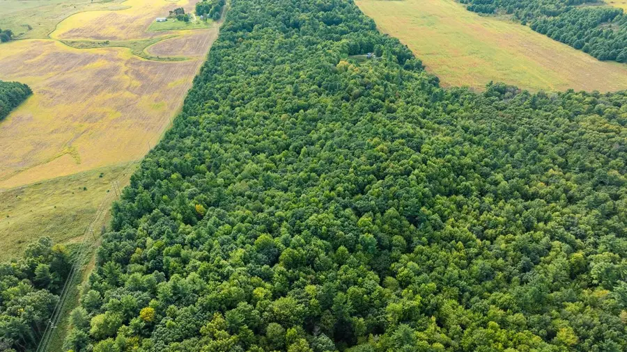 Lot5 815 Avenue, Menomonie, WI 54751 - #2