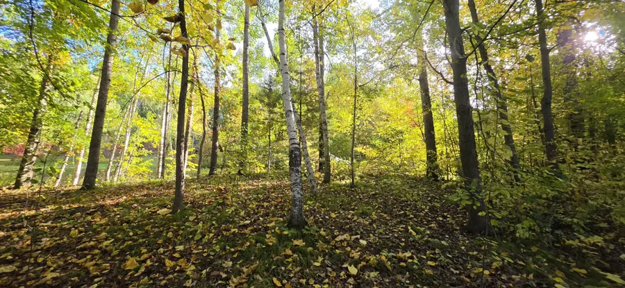 TBD Easy Street, Cushing, MN 56443 - #3