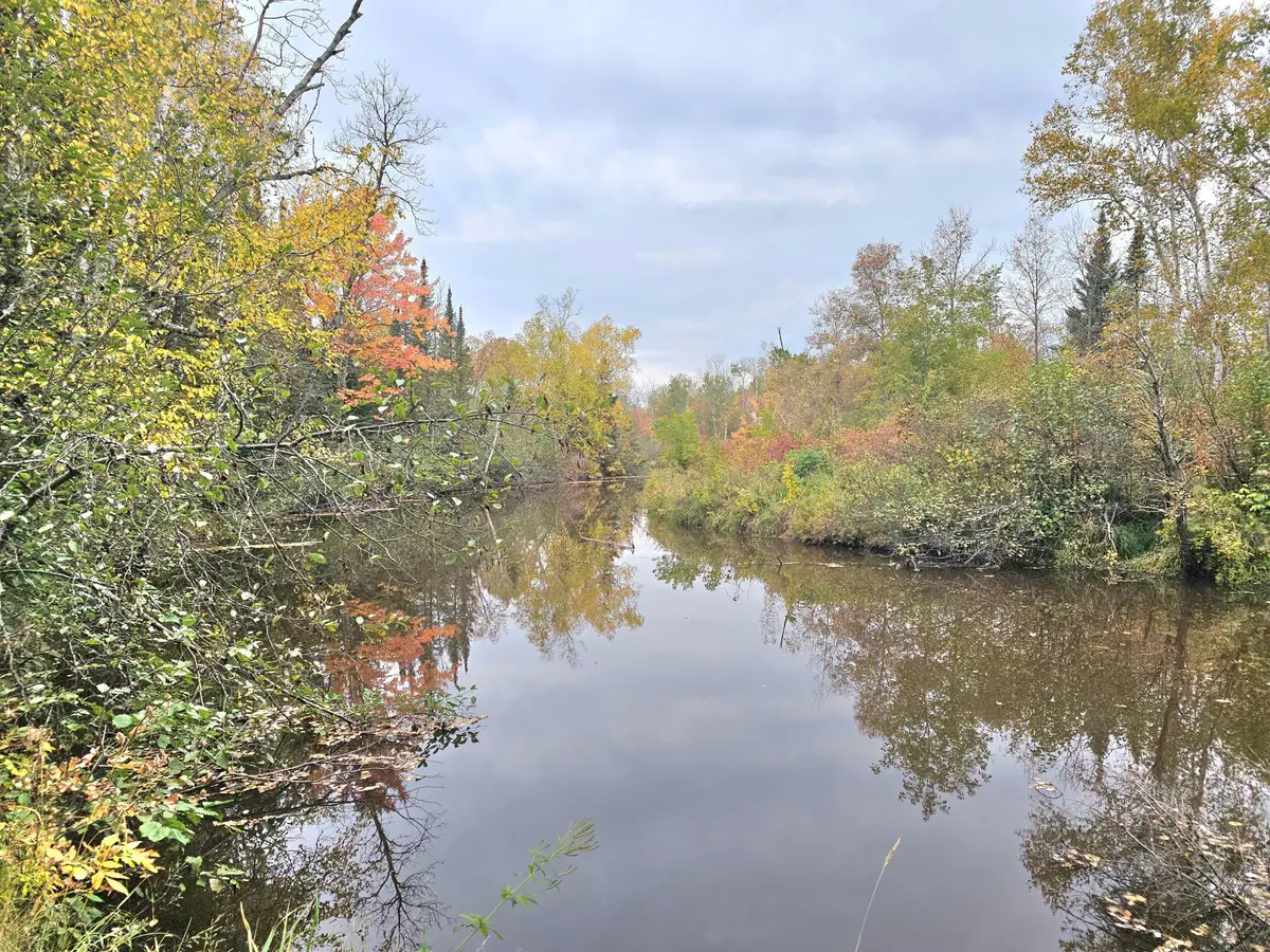 TBD 170th Lane, Pliny, MN 56350 - #1